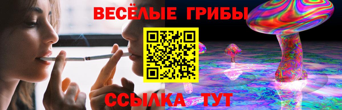 Большой Камень  Псилоцибиновые грибы мицелий  Галлюциногенные грибы мухоморы  Вход с VPN 